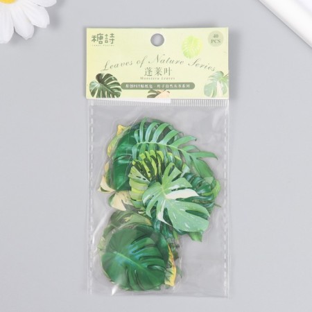 Stickers for creativity plastic "Palm leaves" set 40 pcs 0.3x8x14.8 cm-3