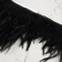 Braid with feathers of a rooster, 10-15 cm, 5 ± 0.5 m, black color