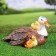 Garden figure "Duck with ducklings under the wing" 22.5x37.5cm
