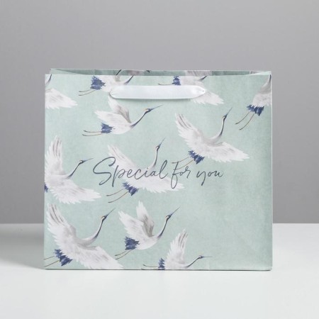 Gift Craft horizontal package, packaging, Special for You, 27 x 23 x 11.5 cm-1