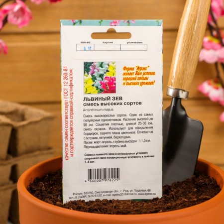 Flower seeds lion pharynx mixture of high varieties, o, 0.1 g-3