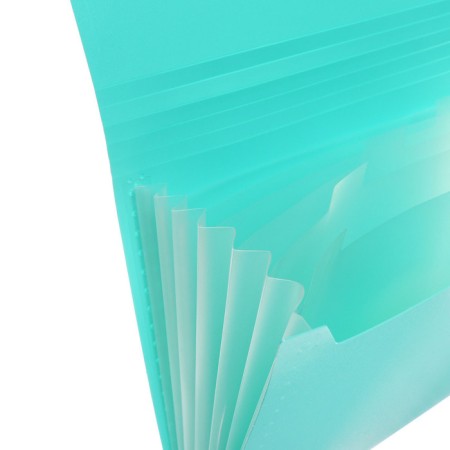 Folder Carder Calligrata watercolor 6 department. A4 plastic 0.7mm mint, black resident-2