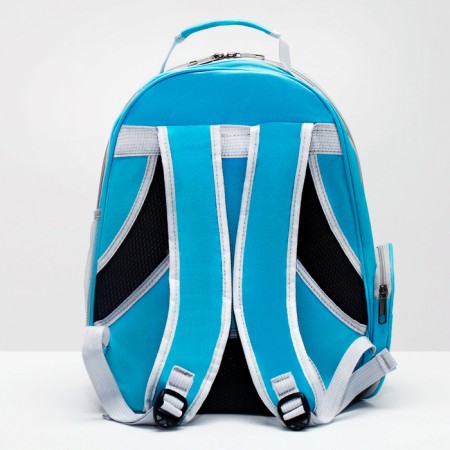 The backpack for carrying animals is transparent, 31 x 28 x 42 cm, blue-2
