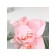 Soap roses, pink, set of 3 pcs.