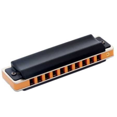 Harmonica Easttop, T008S E, diatonic