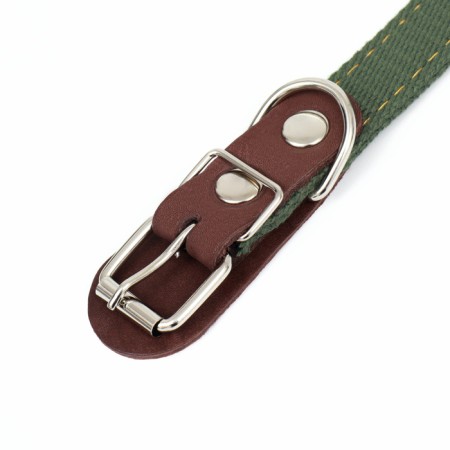 The collar is a tarpaulin two-layer dimensionless, with a tongue and a leather bone, 2.5x60 cm, Osh 30-55 cm 90-4