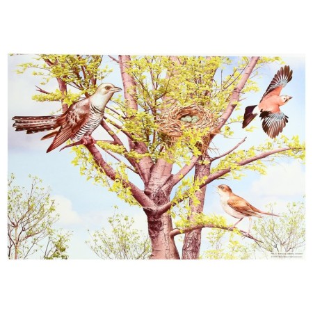 Demonstration paintings A3 "Wintering and migratory birds" Methodical material-6