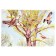 Demonstration paintings A3 "Wintering and migratory birds" Methodical material