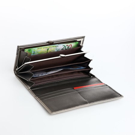 Women's wallet on magnets, silver color-3