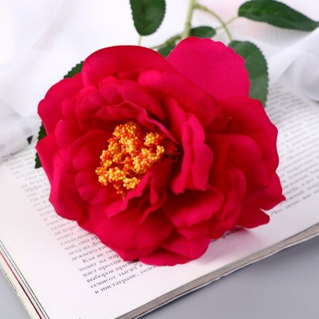 Artificial flowers "Rose Pretty" D-10 cm 55 cm, raspberry-1