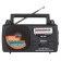 Radio receiver ECON ERP-1600, 2W, 220V, FM 64-108 MHz, black color