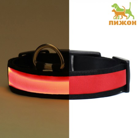 Collar with flash light 3 light modes, size m, Osh 40-48 x 2.5 cm, red