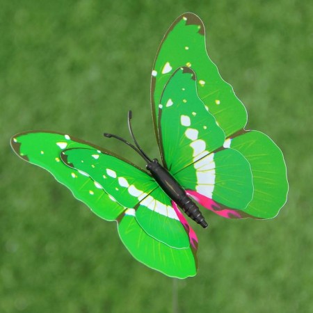 Plug "butterfly octavia" 8x10cm/25cm, mix-17