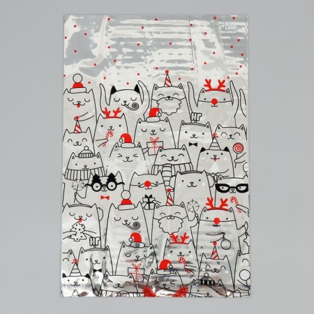 Plastic packet "Kisa", 20 x 30 cm, New Year-2