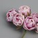 Decor for creativity "peonies" white-violet (1 set = 1 bouquet) in the bouquet 6 pcs 2.5x10.5 cm