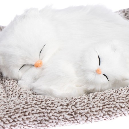 Toy on a car panel, pillow cats, white color-1