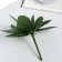 Decor for creativity "Osinin sheet (1 set = 1 bouquet) in the bouquet 12 pcs sheet 5x2.5 cm