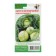 White cabbage seeds "Miracle for storage" F1, 0.3 g