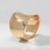Ring Metal "Trend" shackles, color gold, dimensionless
