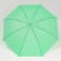 Umbrella - semi -automatic cane "plain", 8 spokes, r = 46 cm, green color