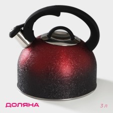 A kettle with a stainless steel whistle Snow, 3 l, induction, red color