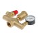 STM Security Group thermo, for heating boilers, 1 ", w - figurative