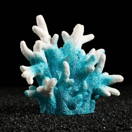 Decorative Coral "Sinulary", 18 x 9 x 14 cm, blue-2
