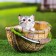 Figure pot "Kitten in the basket" 23x21x18cm