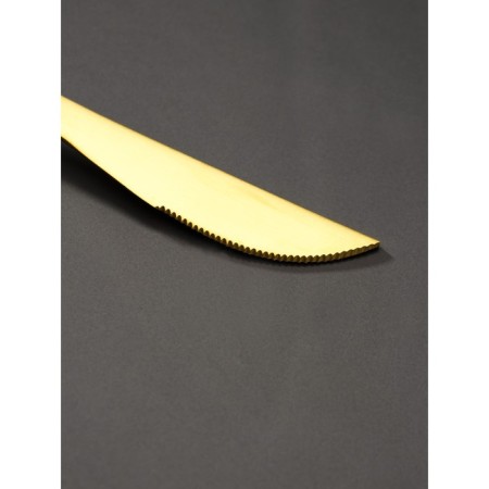 Stainless steel knife Magistro "folk", length 22 cm, gold color-3