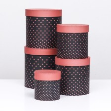 Set of round boxes 5V1 