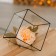 Florarium "Cube" average (silver seams)
