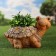 Figure Kashpo "Turtle" 39x27x29cm / D-24sm