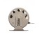 Curlar Namazu Eagle, aluminum, 2 bearings, 6.5 cm