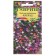 Lobelia flowers "cascade", ampel, o, mixture 0.01 g