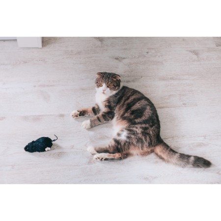 Cavaling fur mouse, 12 cm, black-6