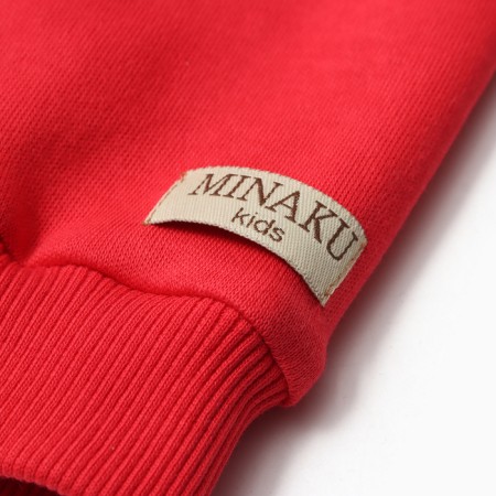 Kit for children (jumper, trousers) minku red color, height 74-80 cm-7