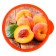 Lunch-Box "Persian", 500 ml