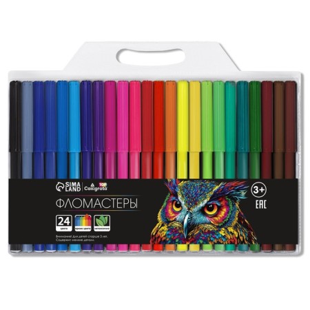 Fleeters 24 colors, Top calligrata, in the blister-1