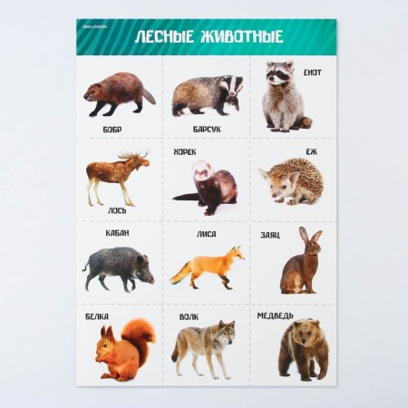 A set of training posters "Study the world", 10 in 1, A4-23