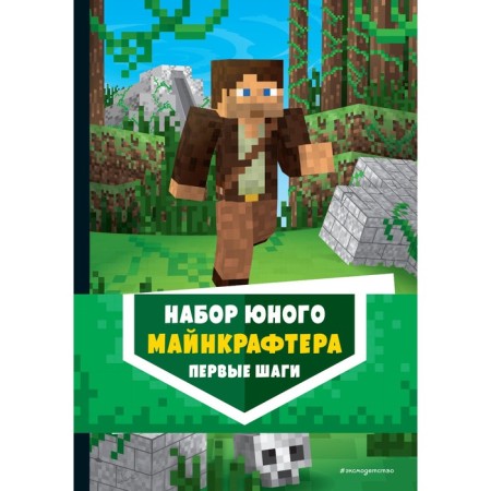 Set of young minecraft. First steps