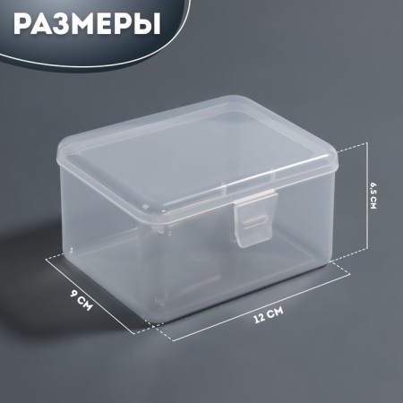 Organizer for storage, with a lid, 6.5 × 12 × 9 cm, the color is transparent-1
