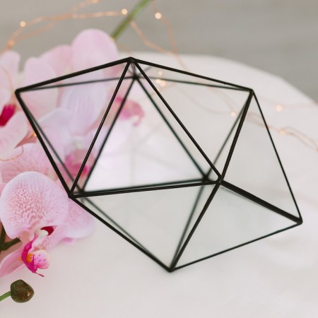 Florarium "Crystal" (black seams)-3