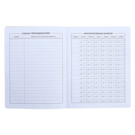Universal Diary Grade 1-11, 48 sheets "Skateboardist", soft cover of artificial leather, pancake embossing-4