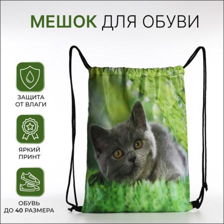 Bag for shoes on the lace, green color