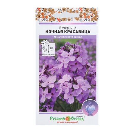 Flower seeds Vespers "Night Beauty", 0.3 g