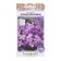 Flower seeds Vespers "Night Beauty", 0.3 g