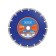 Disk Edge by Patriot Diamond, segment, universal, dry cut, 230x22.23 mm