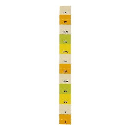 A65 elastic band, 12 departments, transparent-5