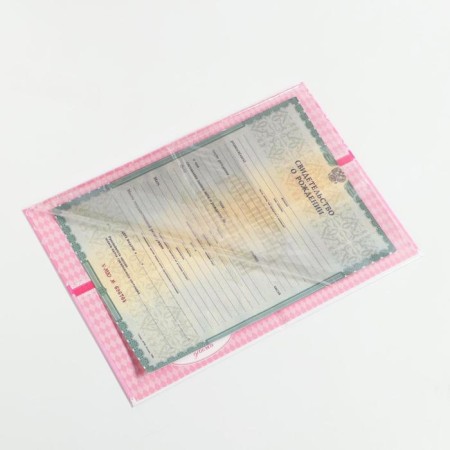Folder for birth certificate "Bant", for a girl, a5-5