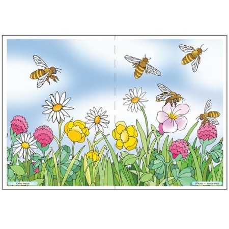 Visual material. Grammar in pictures. Plural (2nd edition)-3